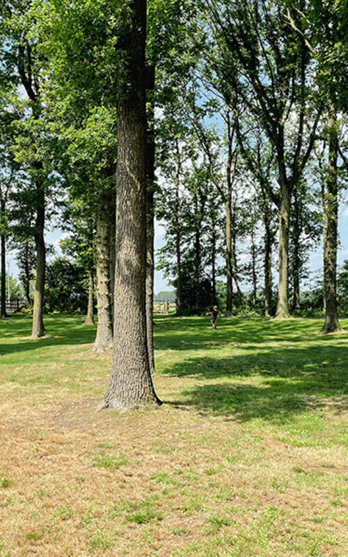 vakantiegeluk-park-drentheland