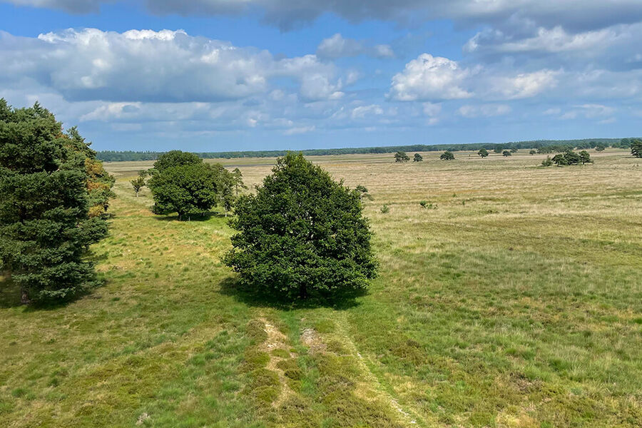 doldersummerveld